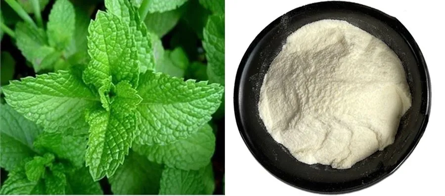 Vanilla Powder Vanilla Powder