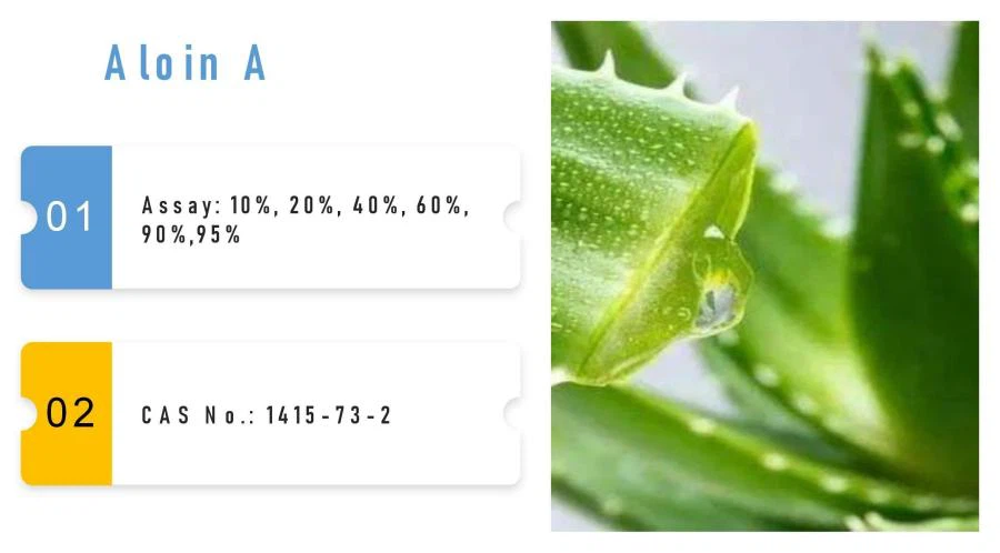 Aloe Barbadensis Extract Aloe Barbadensis Extract