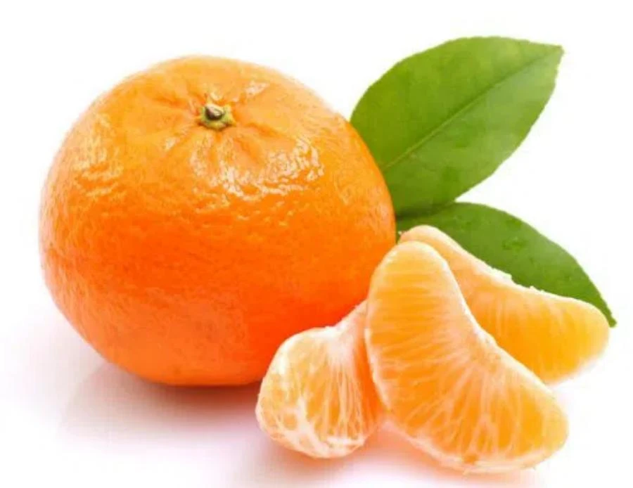 LonierHerb Tangerine Juice Powder LonierHerb Tangerine Juice Powder