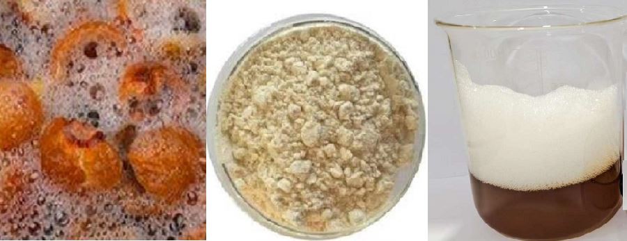 Soapnut extract water solubility