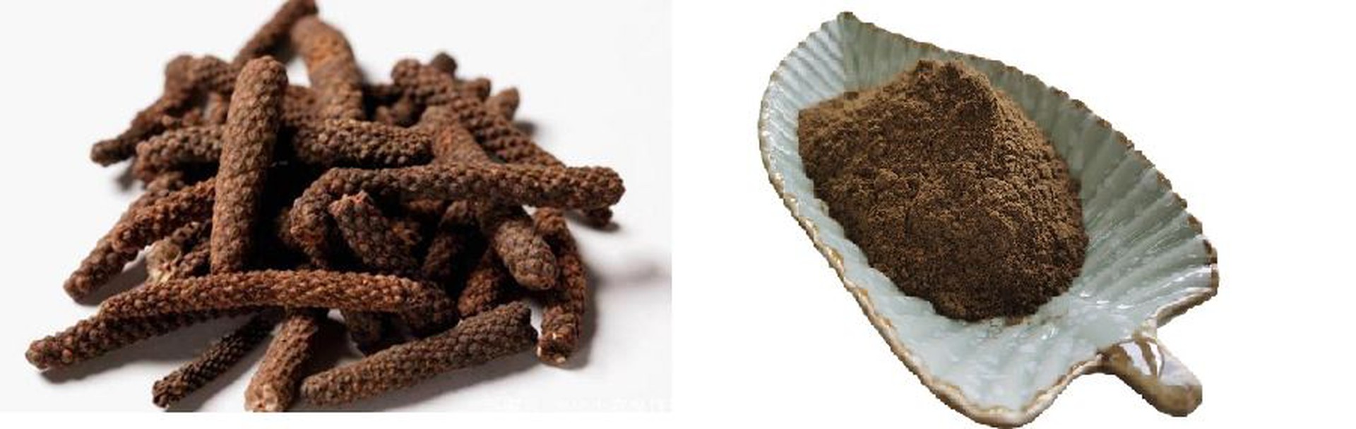 Piper longum extract Piper longum extract