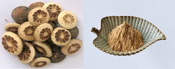product-600-238 Citrus Aurantium Extract Powder