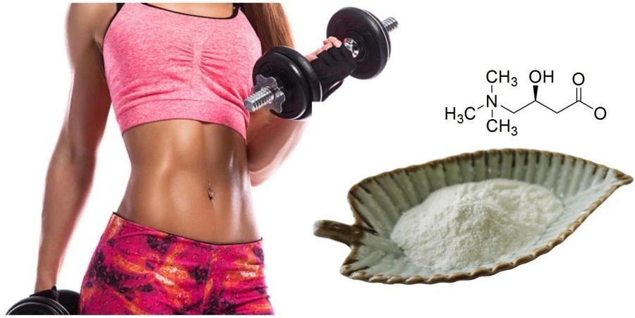 product-900-451 L-Carnitine 99%, L-Carnitine Powder