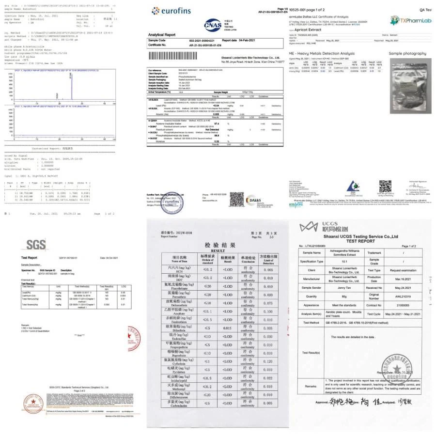 Guarantee Test Report 
