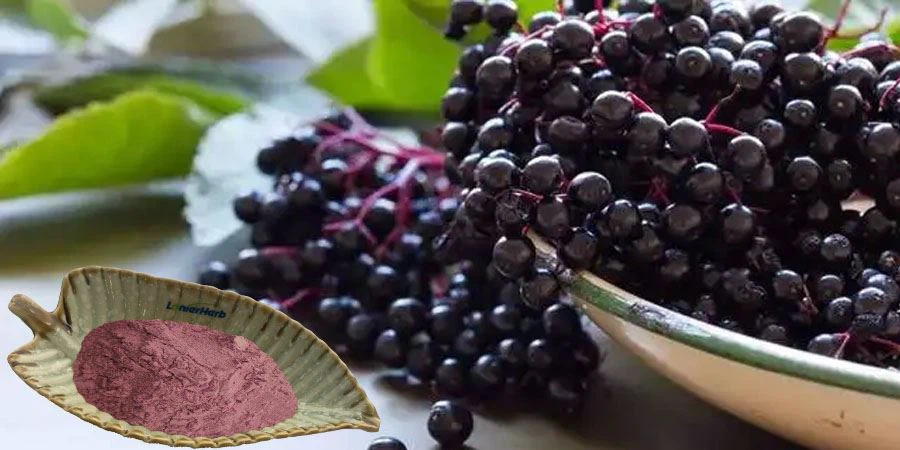 Acai Berry Juice Powder