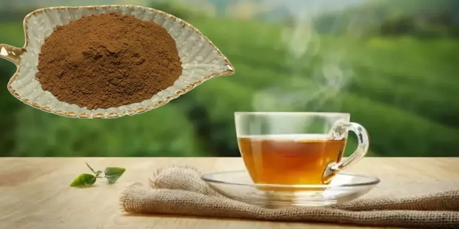 Water Soluble Kombucha Tea Powder