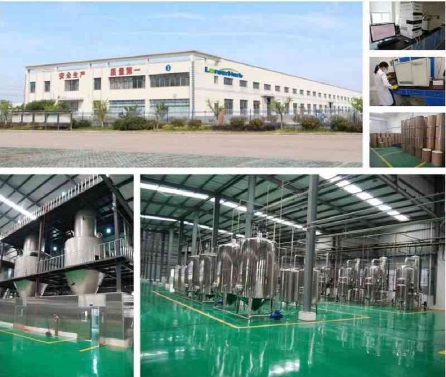 Amla Fruit Extract Factory