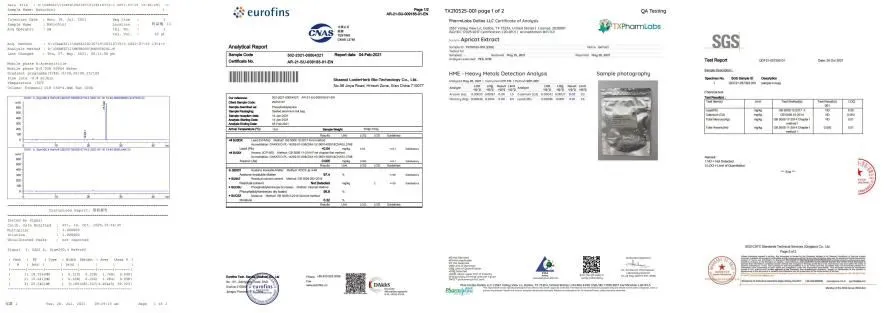 Test Report 2 Test Report 2