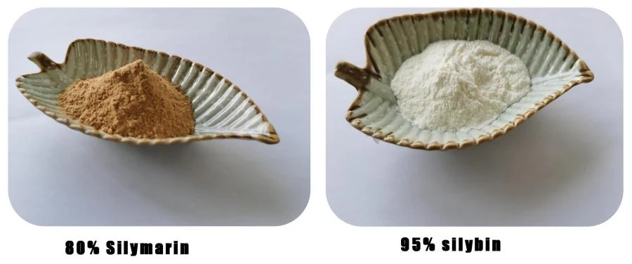 Milk Thistle Extract