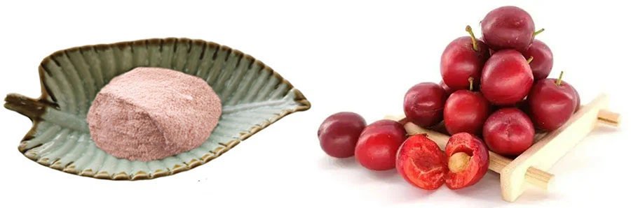 Chinese Dwarf Cherry Powder