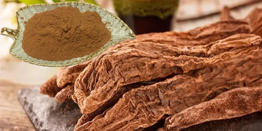 Wholesale Cynomorium Songaricum Extract