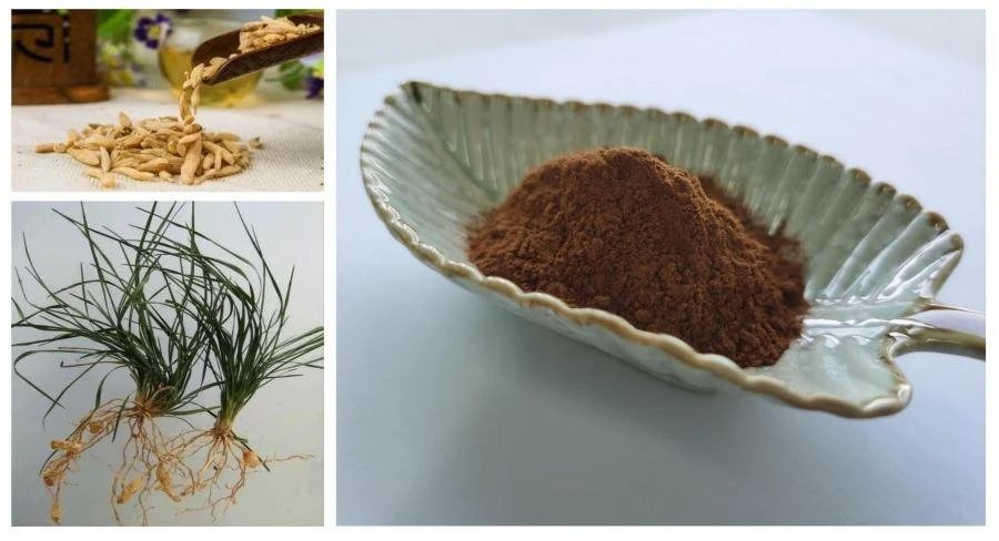 Ophiopogonis Extract Powder Ophiopogonis Extract Powder