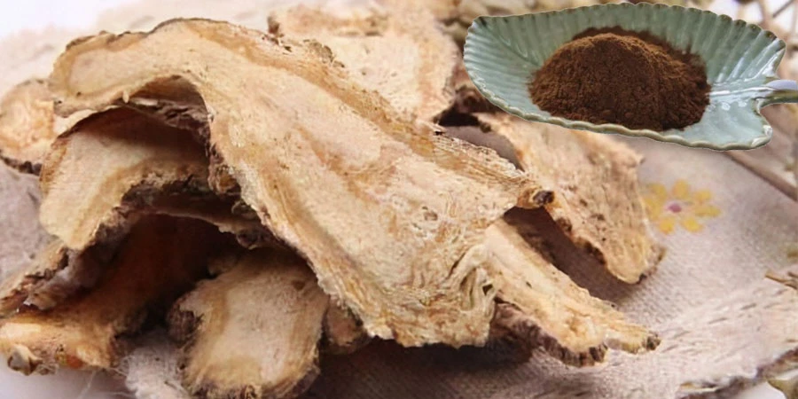 buy Angelica Sinensis Extract