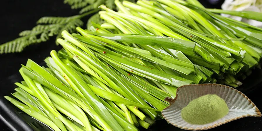 buy Dried Leek Powder buy Dried Leek Powder