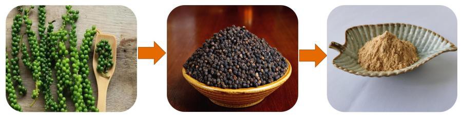 Lonierherb Piper Nigrum Extract Lonierherb Piper Nigrum Extract