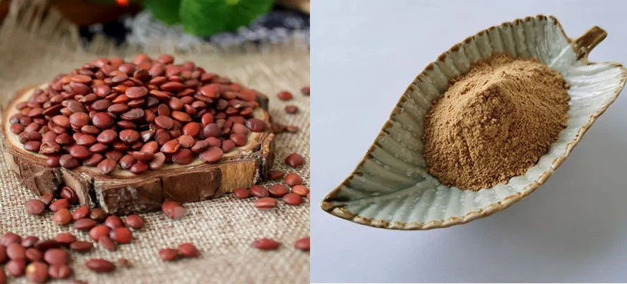 Wholesale Jujube Extract Jujuboside