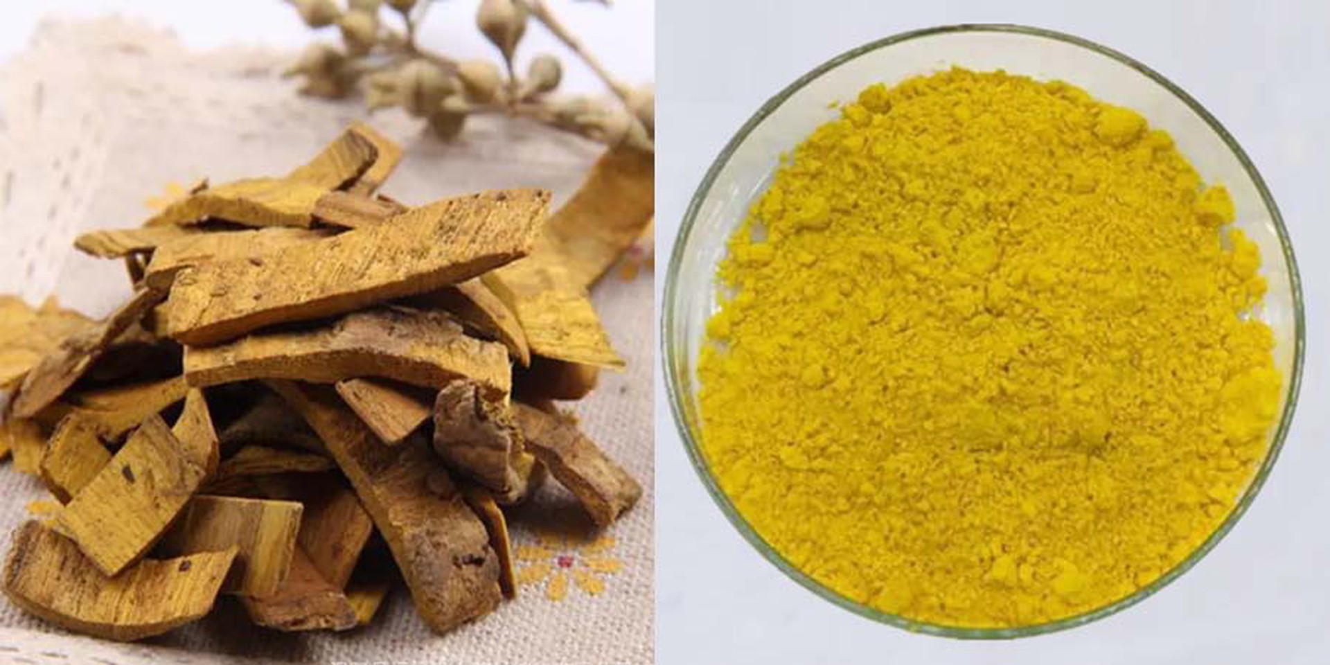 Factory Supply Berberine HCL Factory Supply Berberine HCL