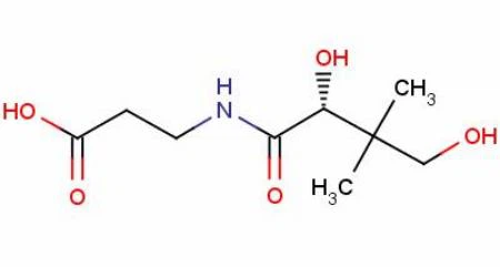 Vitamin B5 Powder , Pantothenic Acid, CAS 137-08-6