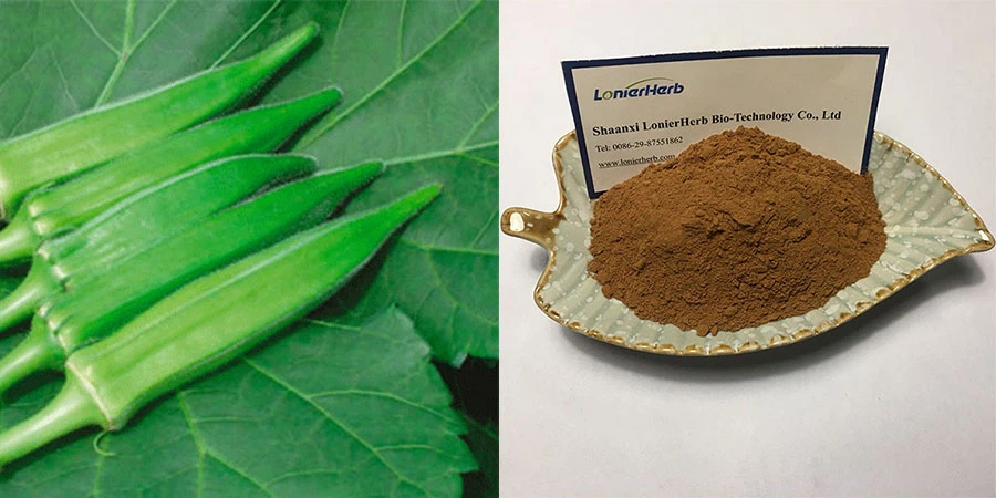 Vegan Abelmoschus Esculentus Extract Free Sample Vegan Abelmoschus Esculentus Extract Free Sample