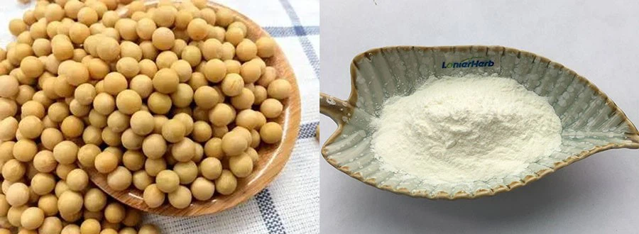 Instant Soy Milk Powder