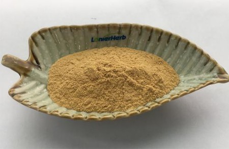 Sapindus Mukorossi Fruit Extract Sapindus Mukorossi Fruit Extract