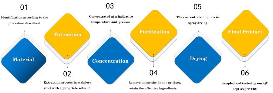 Manufacturing Process Manufacturing Process
