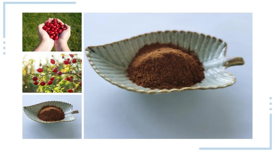 Lonierherb Rose Hip Extract Lonierherb Rose Hip Extract