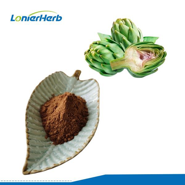 Artichoke Extract Powder Artichoke Extract Powder