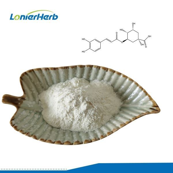 Chlorogenic Acid Powder