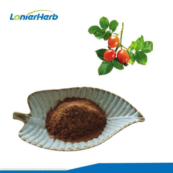 Rosehip Extract Powder