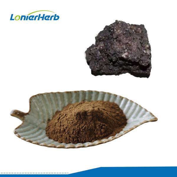Shilajit Extract Powder Shilajit Extract Powder