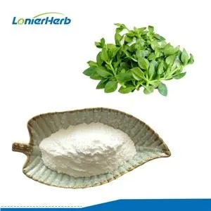 Andrographis Paniculata Extract Powder
