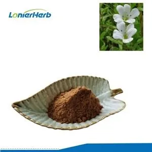 Bacopa Monnieri Extract Powder