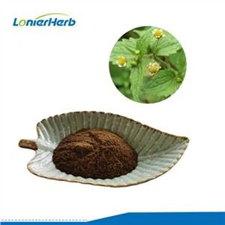 Black Cohosh Extract Powder