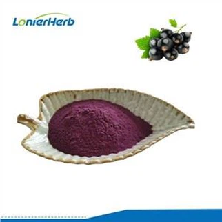 Black Currant Juice Powder