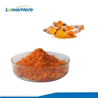 Curcuma Longa Extract