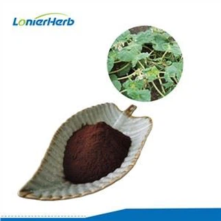 Devil's Claw Root Powder