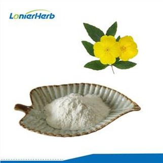 Evening Primrose Oil Powder