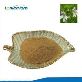 Eyebright Extract Powder