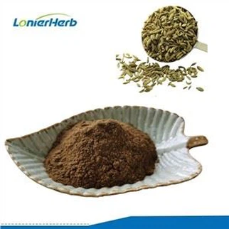 Fennel Seed Extract Powder