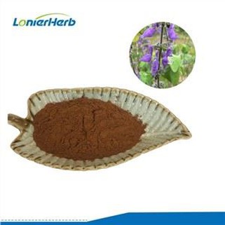Forskolin powder