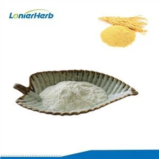 Gamma Oryzanol Powder