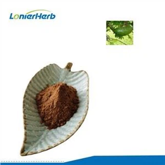 Graviola Extract Powder