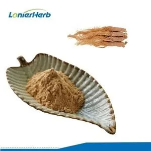Korean Red Ginseng Extract Powder