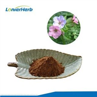 Lungwort Extract Powder