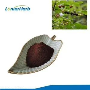 Phyllanthus Extract