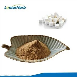 Poria Cocos Extract Powder