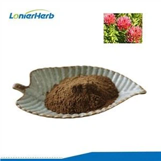 Rhodiola Rosea Extract