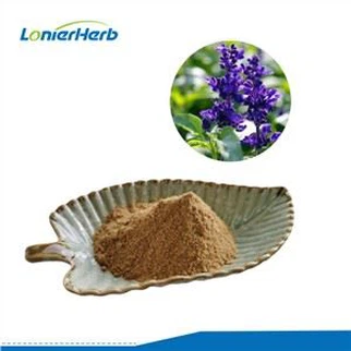 Sage Extract Powder