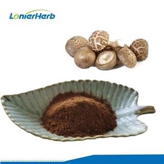 Shiitake Mushroom Extract Powder
